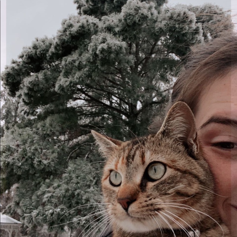 Meet your Posher, Allie